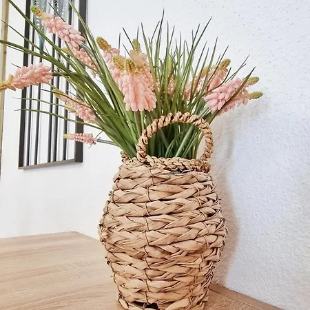 Le Stan - Centre - Parking - Exterieur - Fibre - Relax Apartament Colmar