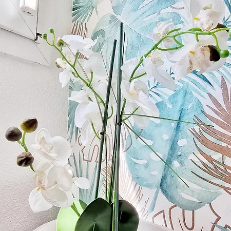 Le Stan - Centre - Parking - Exterieur - Fibre - Relax Colmar