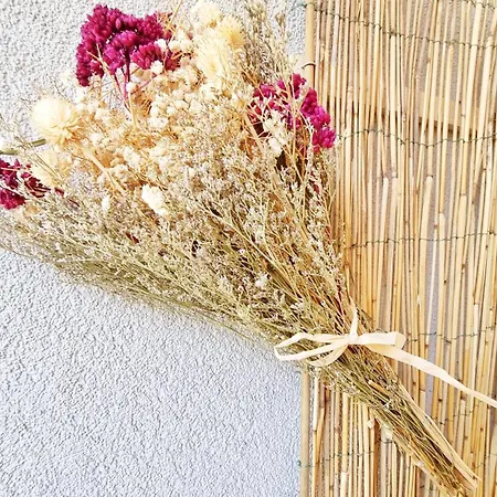 Le Stan - Centre - Parking - Exterieur - Fibre - Relax Apartmán Colmar