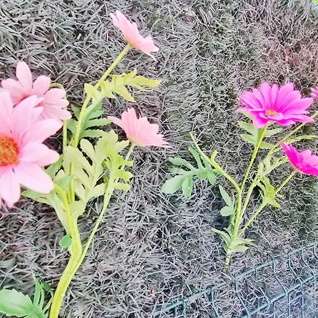 Le Stan - Centre - Parking - Exterieur - Fibre - Relax Apartmán Colmar